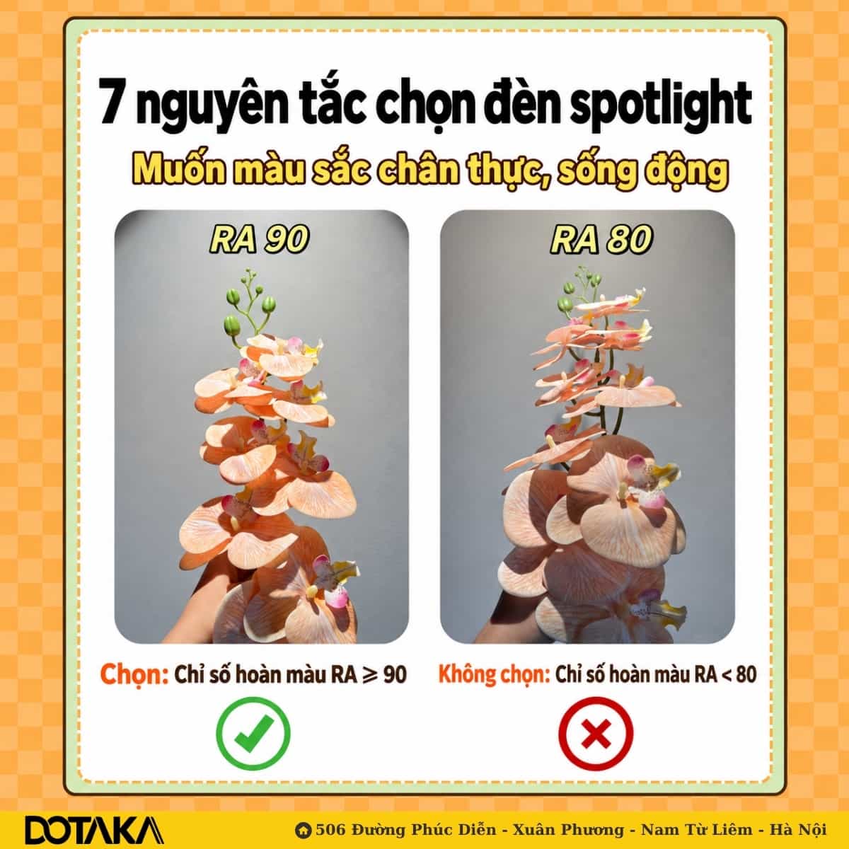 Cùng một cành lan: dưới Ra 90 cánh hoa tươi, vân rõ (trái) – dưới Ra thấp màu bệt và ngả xám (phải).